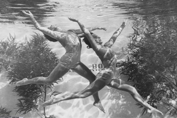 浏阳中考体育培训班的优势与特色(图1)